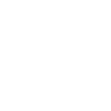 Enhanced Stability Icon