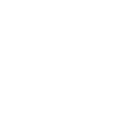 OEM Bulk Options Icon