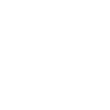 Optimised for Performance Icon