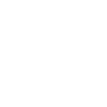Built-In Skin Analyser Icon