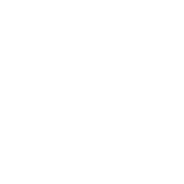 Superior Efficiency Icon