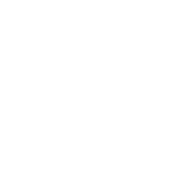 Custom-Built Options Icon