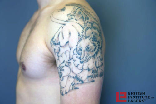 Wolf & Panther Upper Arm Tattoo 4