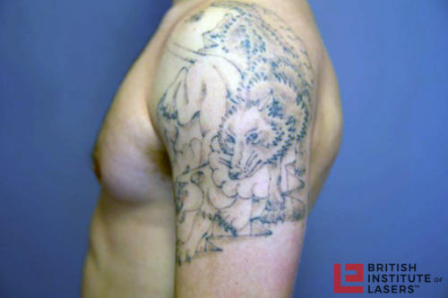 Wolf & Panther Upper Arm Tattoo 5